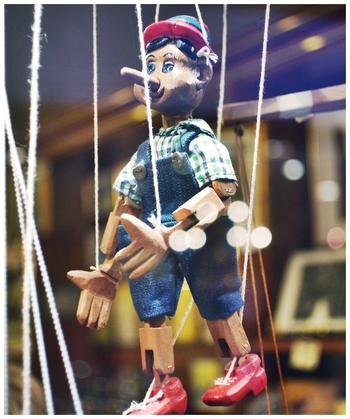 ΘΕΡΜΟΚΡΑΣΙΑ ΔΩΜΑΤΙΟΥ: Βοσκοτόπι