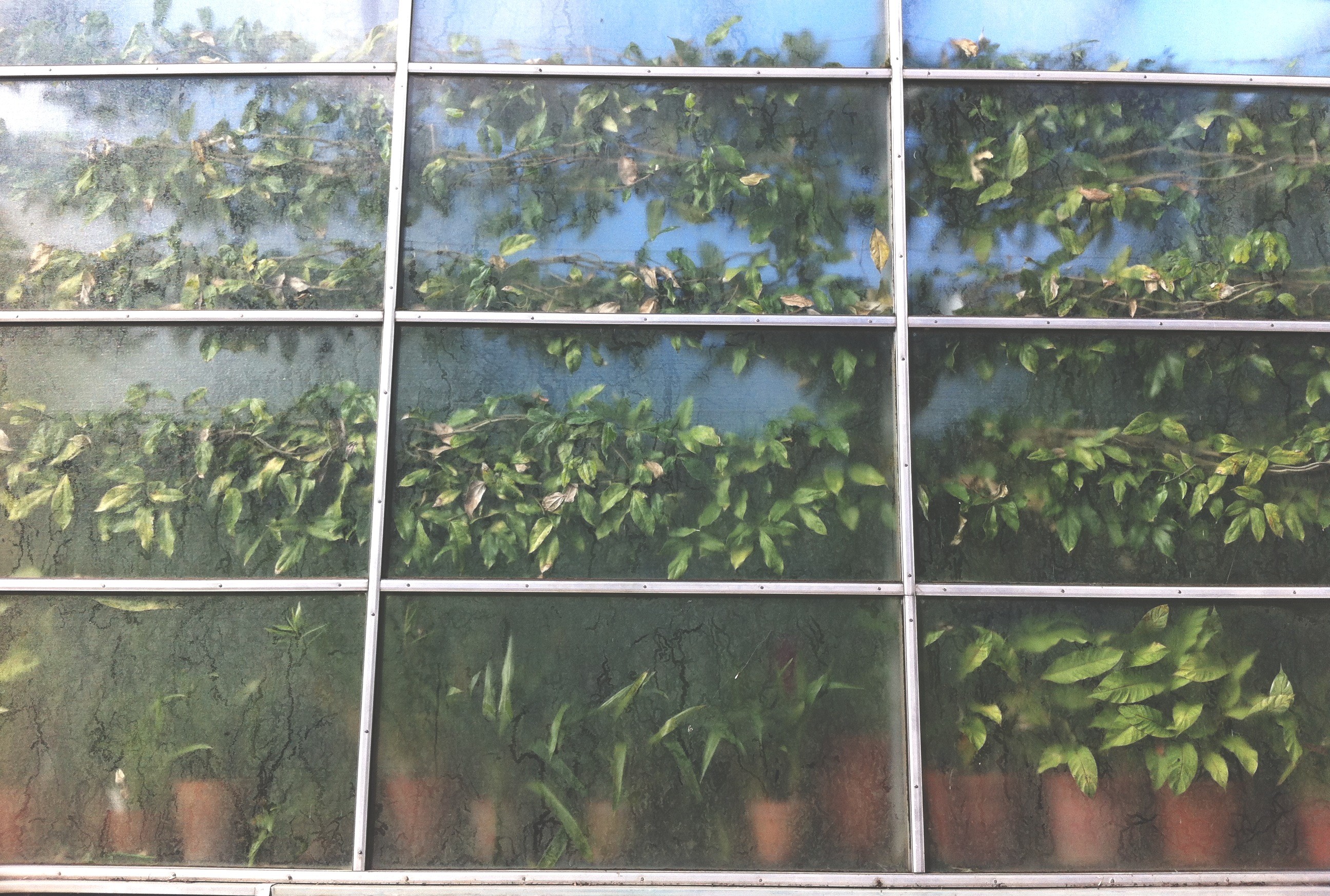 Absentia lucis 1.0.6