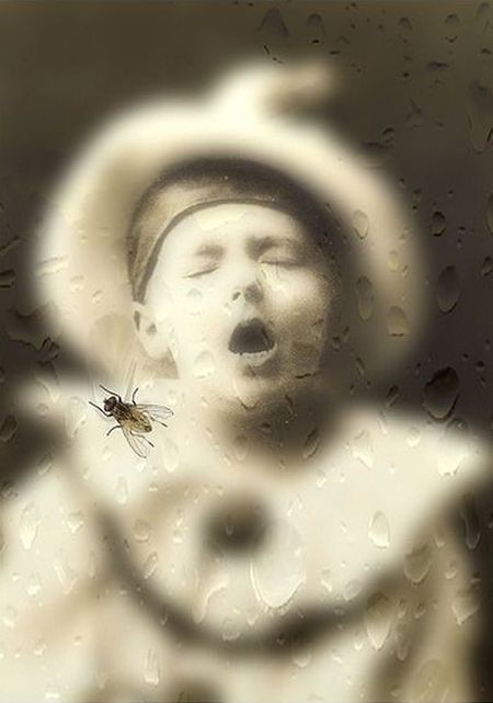 Εφήμερα Νοεμβρίου έξι