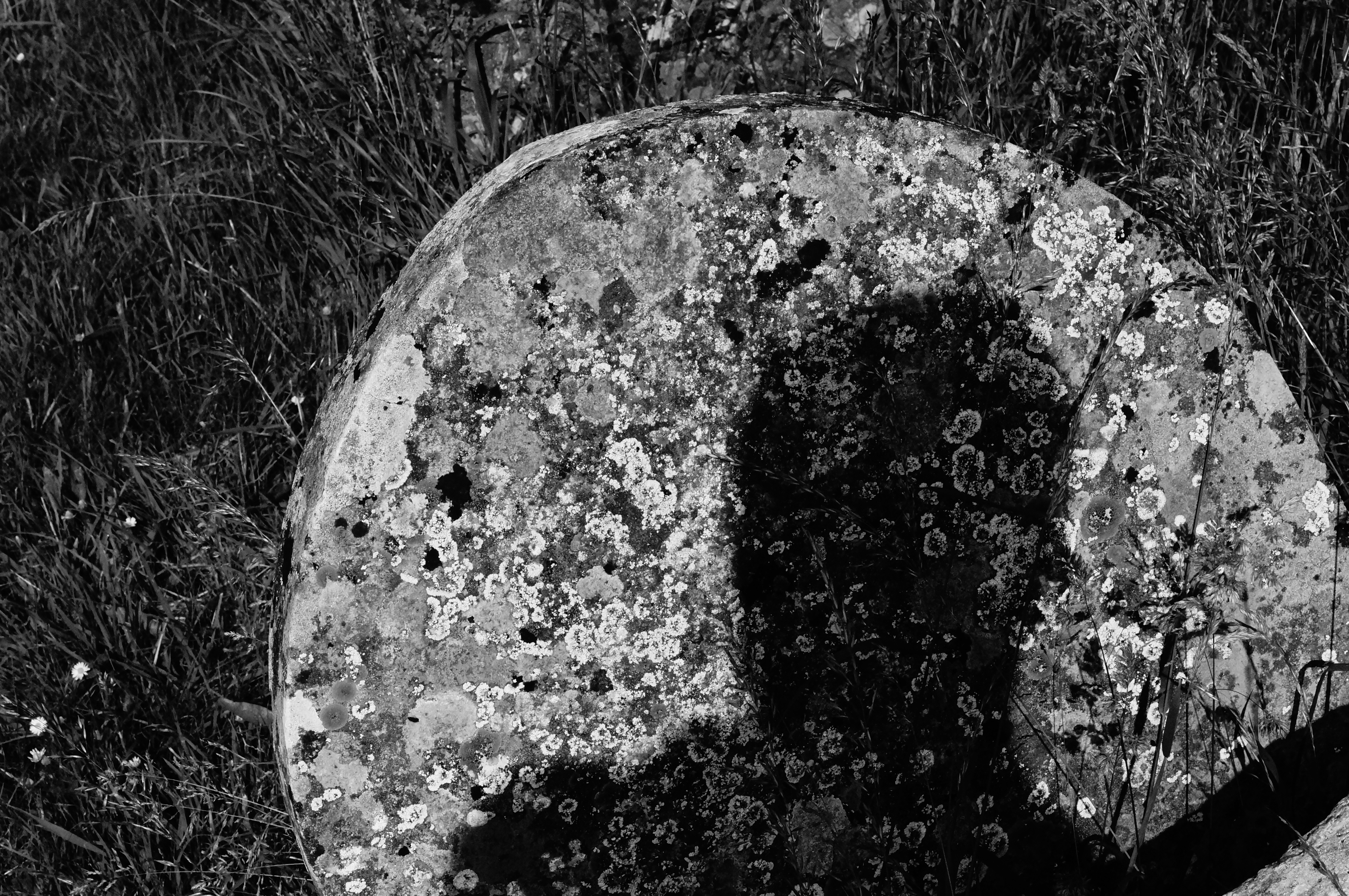 Absentia lucis 2.0.26