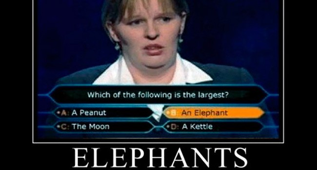 ΑΠΟΤΥΠΩΜΑΤΑ ΗΜΕΡΑΣ: Βλάκες