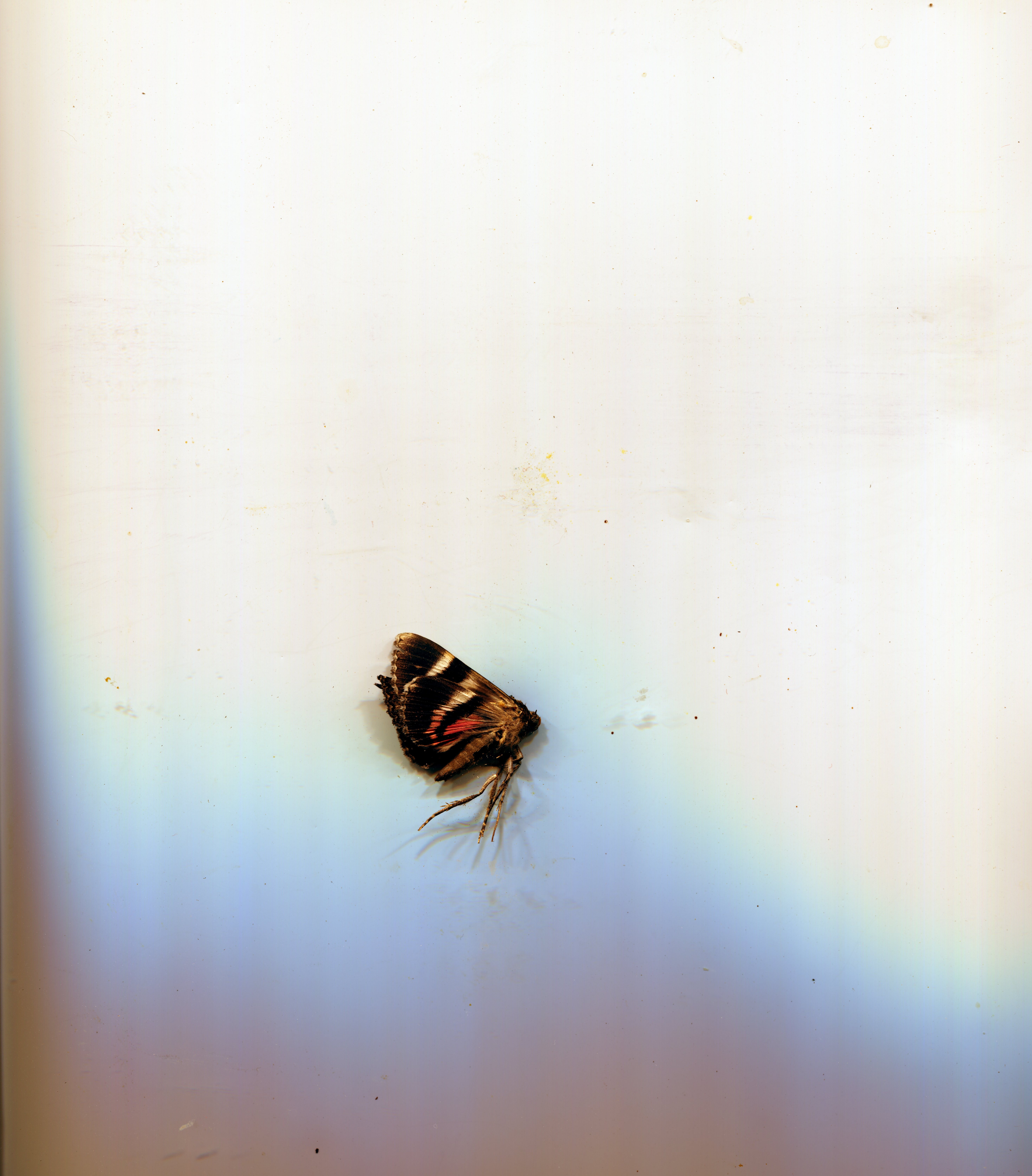 Μαθήματα Συμπεριφοράς.