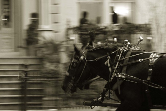 Ο Χορός της λεπίδας