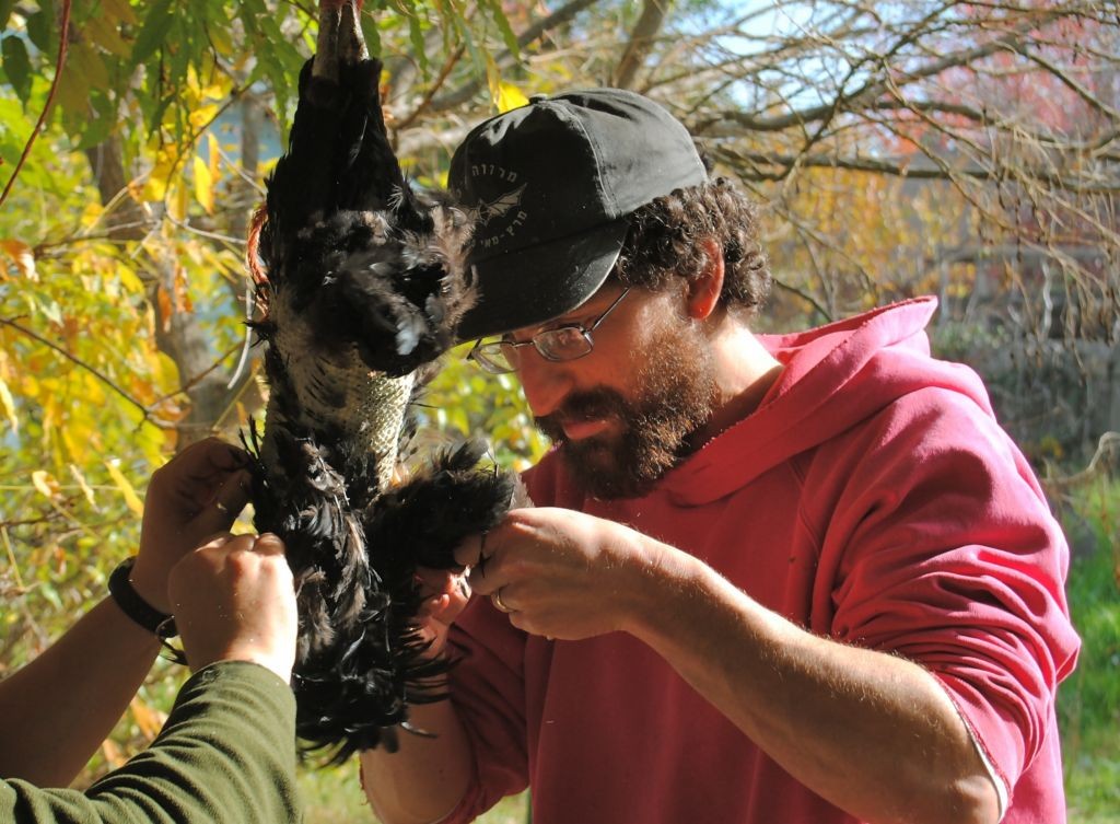 Η Ιστορία του Ανθρώπου που Σφάγιαζε Πουλιά