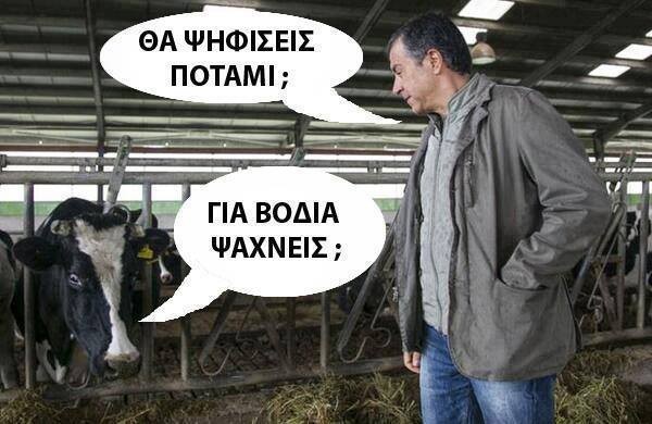 ΑΠΟΤΥΠΩΜΑΤΑ ΗΜΕΡΑΣ: Το Κουτόχορτο της Μεγάλης Εβδομάδας