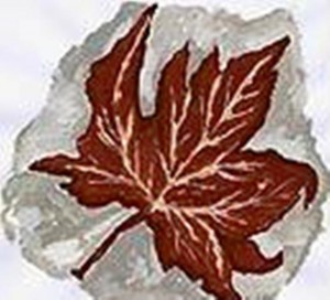 Προλεγόμενα