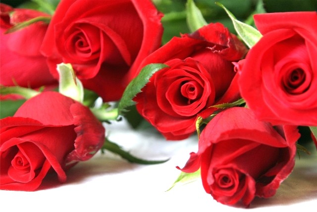 #031 Χάριν έρωτος