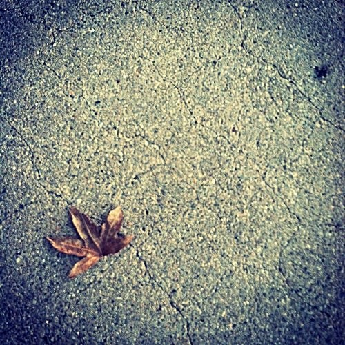 ΘΕΡΜΟΚΡΑΣΙΑ ΔΩΜΑΤΙΟΥ: Άσφαλτος