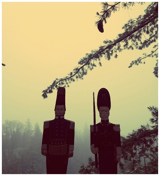 ΘΕΡΜΟΚΡΑΣΙΑ ΔΩΜΑΤΙΟΥ: Νεράντζι